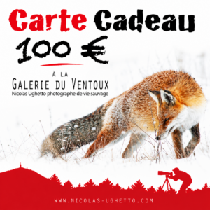 Carte cadeau valeur 100 euros