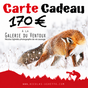 Carte cadeau valeur 170 euros