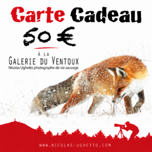 Carte cadeau valeur 50 euros