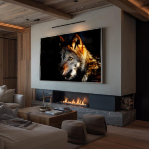 Tirage photo LOUP