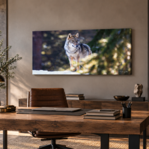 LE GARDIEN DES OMBRES sur toile  de 50 par 100 cm