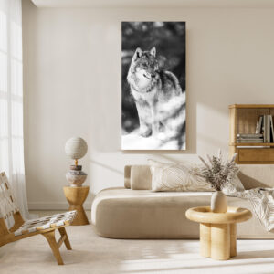Panoramique photo sur toile  de 50 par 100 cm loup vertical en Noir et blanc
