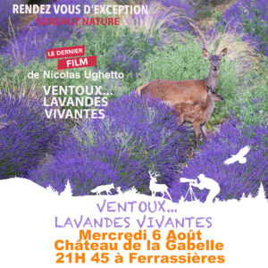 1 Place mercredi 6 août