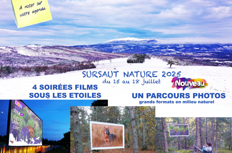 SURSAUT NATURE 2025