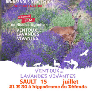 1 Place mardi 15 juillet