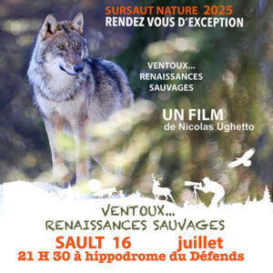 1 Place mercredi 16 juillet