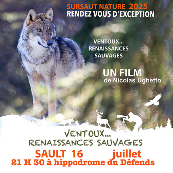 1 Place mercredi 16 juillet