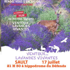 1 Place jeudi 17 juillet