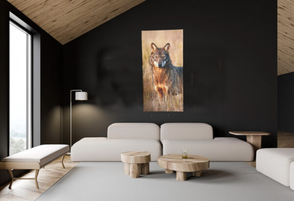 Photo loup au Mont Ventoux sur toile  de 50 par 100 cm