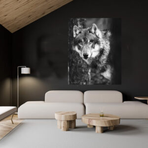 Regard