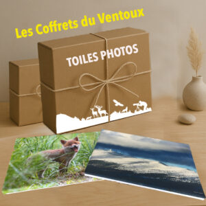 COFFRET VENTOUX   avec Toile Photo