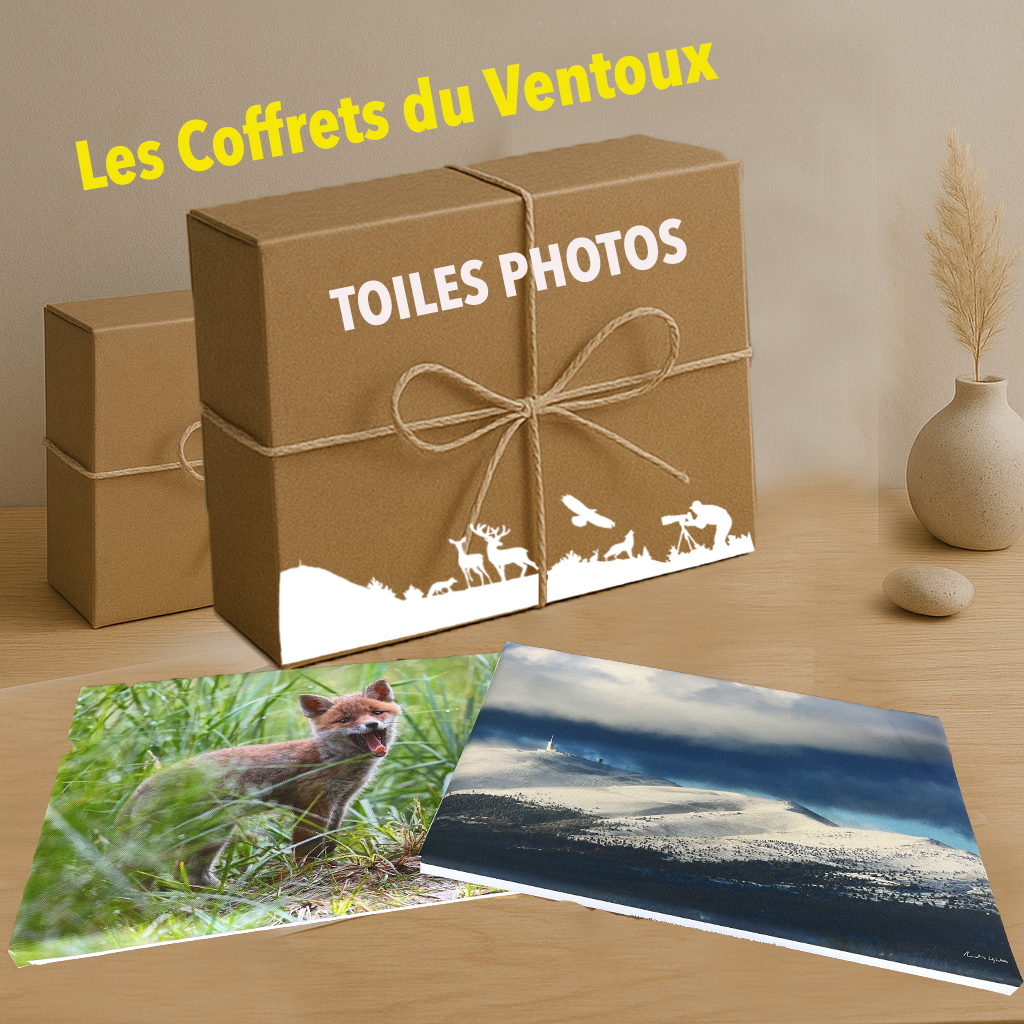 COFFRET VENTOUX avec Toile Photo