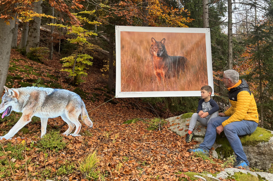 Location d'exposition photos