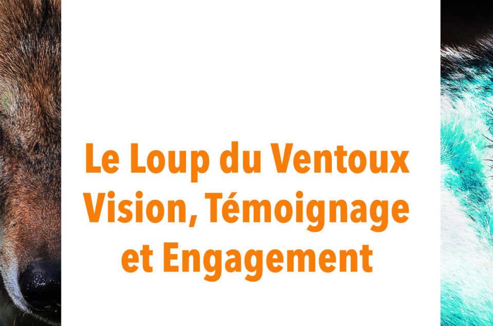 Le Loup du Ventoux — Vision, Témoignage et Engagement
