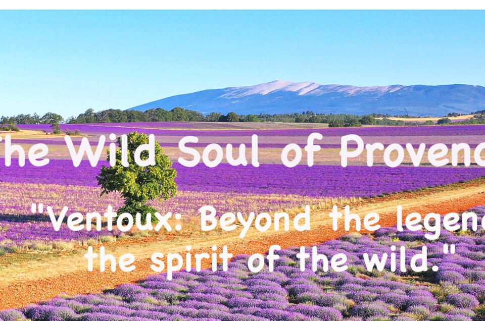 THE WILD SOUL OF PROVENCE