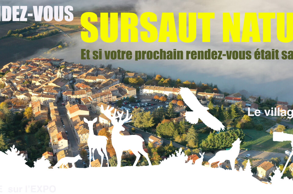 SURSAUT NATURE 2026