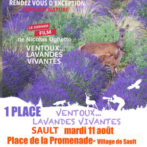 1 Place mardi 11 août