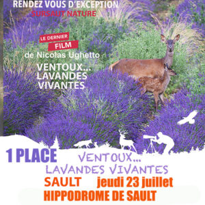 1 Place jeudi 23 juillet