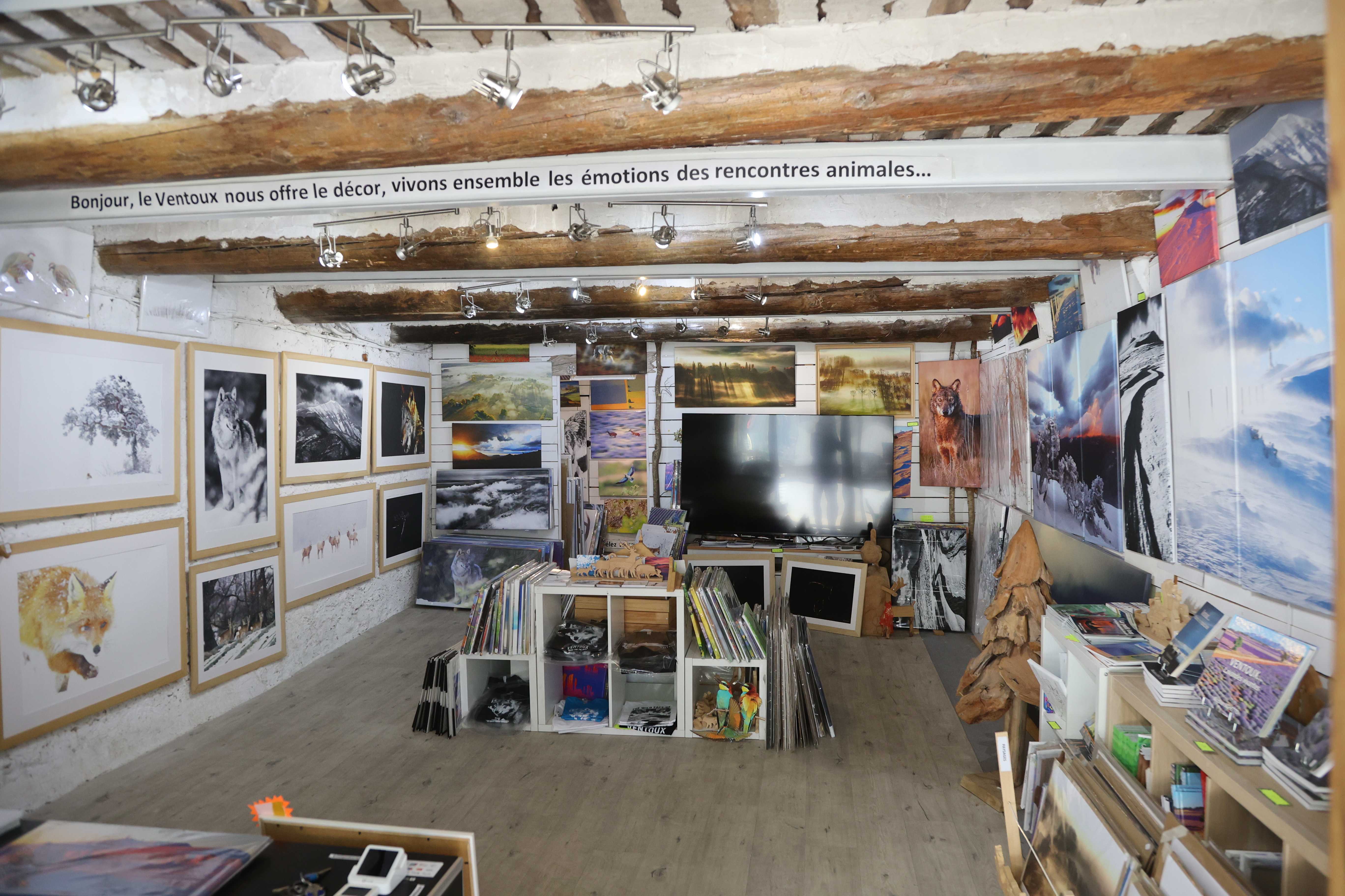 Intérieur de La Galerie du Ventoux à Sault, photographies animalières et paysages de Nicolas Ughetto