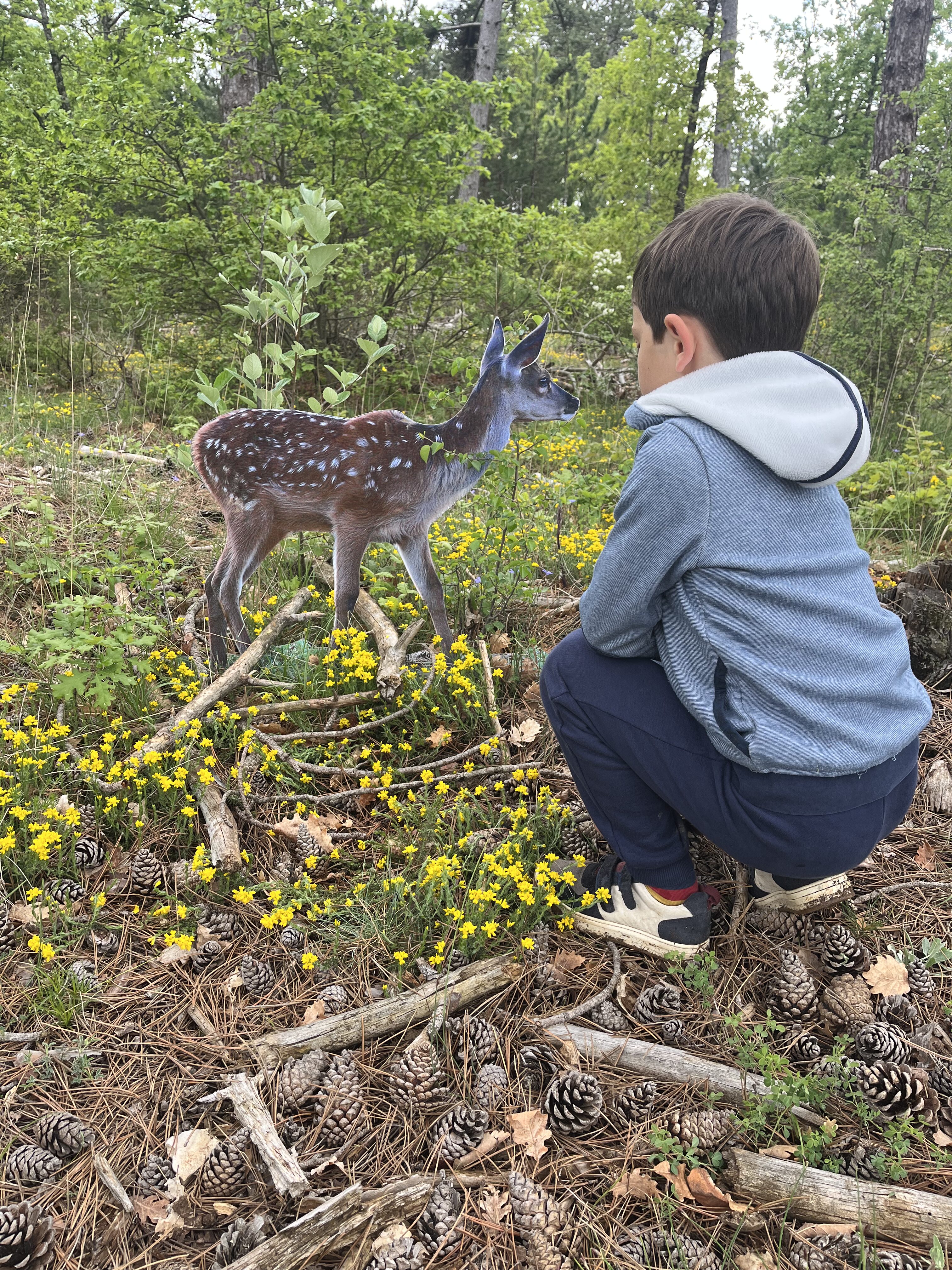 Un enfant découvre la taille d'un animal sauvage