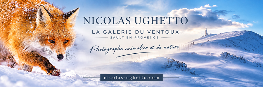 Nicolas Ughetto, La Galerie du Ventoux à Sault