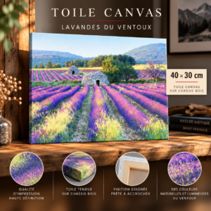 Borie de Provence