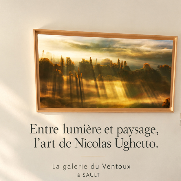 Toile photo de 50 par 100 cm brume