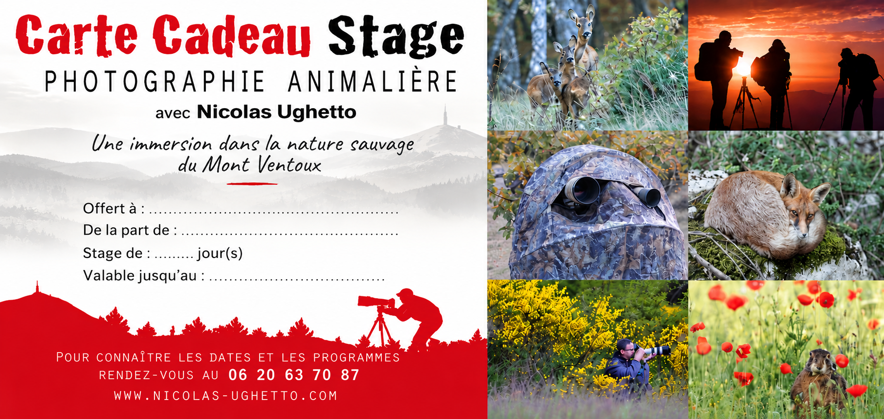Carte cadeau pour un stage de photographie animalière avec Nicolas Ughetto dans le Ventoux