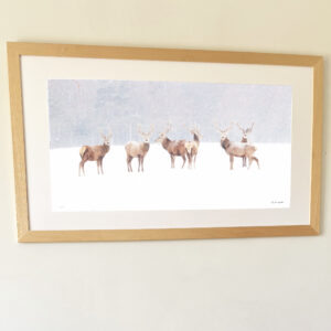 Tirage d'art   de 50 par 100 cm  Seul au monde avec les cerfs