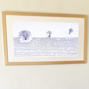 Tirage d'art   de 50 par 100 cm  Les trois noyers