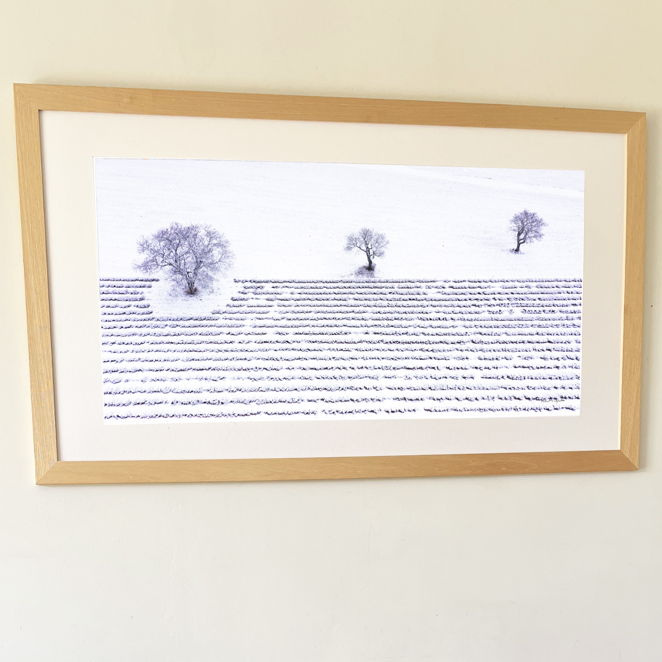 Tirage d'art de 50 par 100 cm Les trois noyers