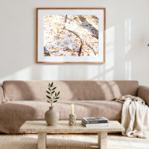 Tirage photo Quand l’automne rencontre l’hiver…