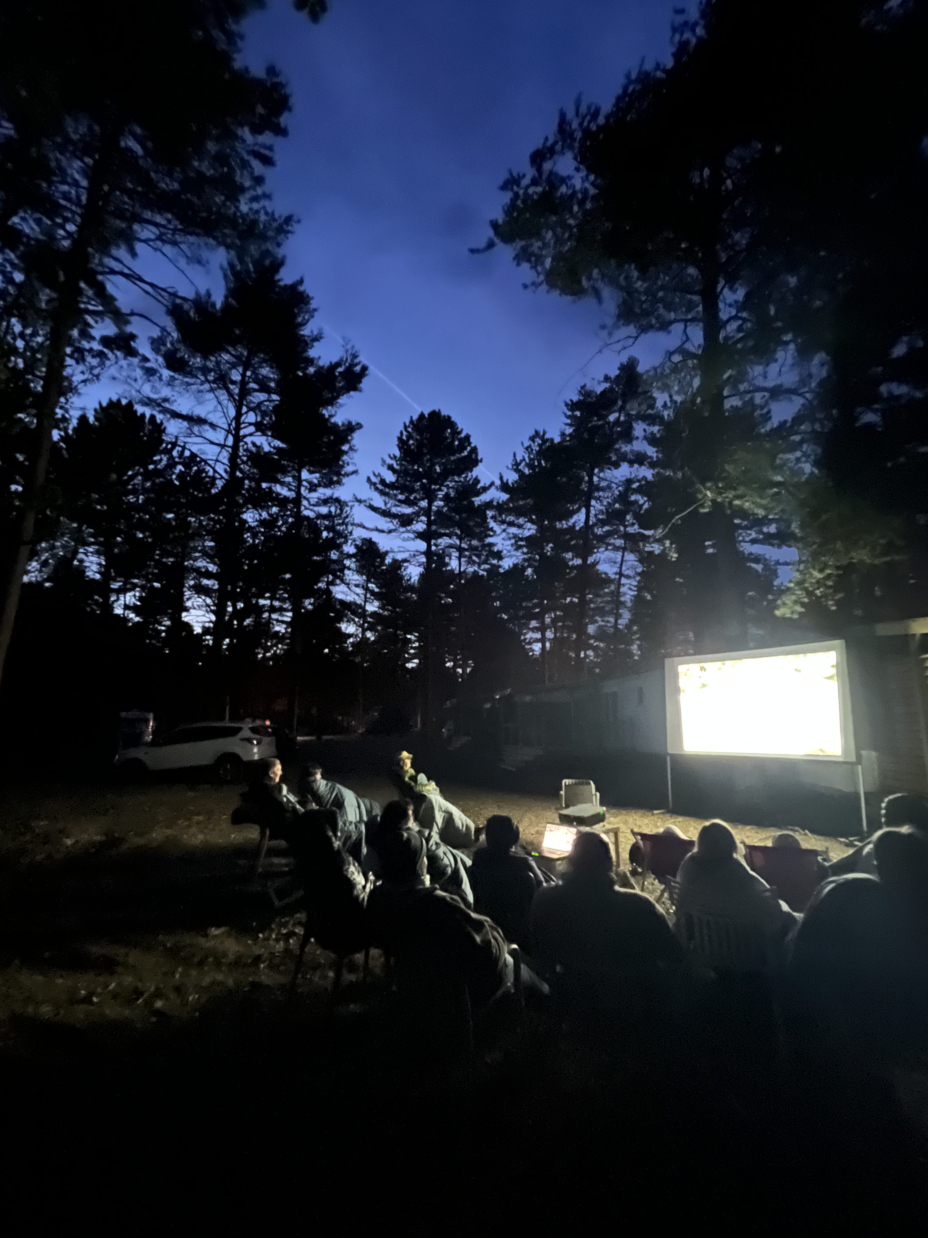 Projection privée d'un film animalier en plein air dans une pinède