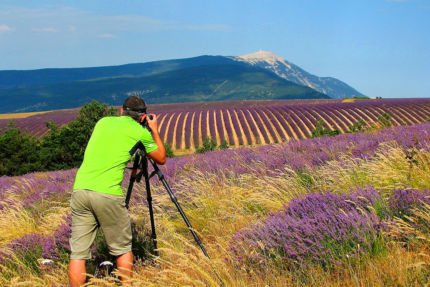 Stage photo lavande avec Nicolas Ughetto dans le Pays de Sault face au Mont Ventoux