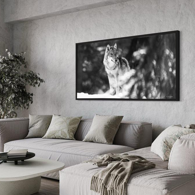 Tirage d'art de 50 par 100 cm Au delà du regard