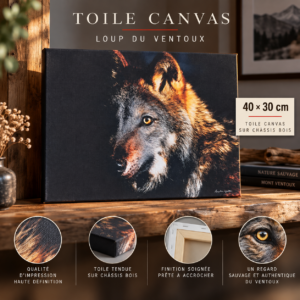 Loup sur Toile de 40 par 30