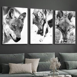 L'ÂME DU LOUP 600 euros le Triptyque